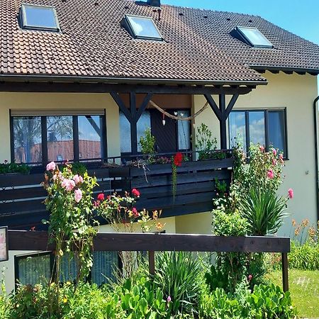 Gaestehaus Gaby Bad Bellingen Buitenkant foto